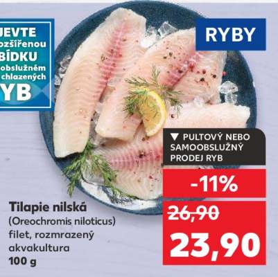 TILÁPIE NILSKÁ