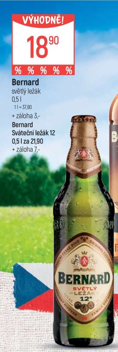 Bernard světlý ležák