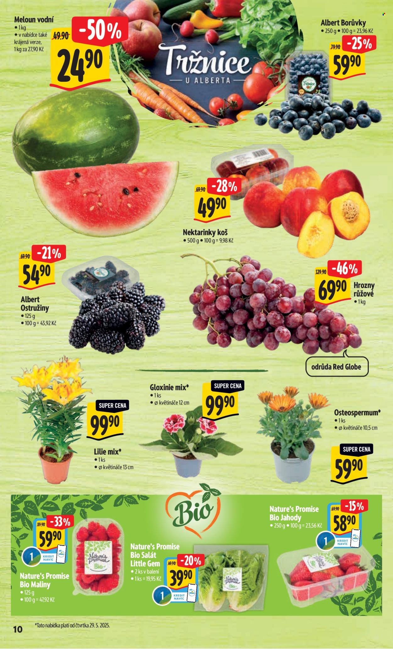 Leták Albert Hypermarket - 28.5.2025 - 3.6.2025. Strana 1