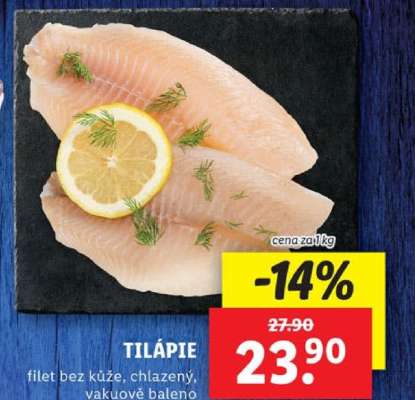 Tilápie
