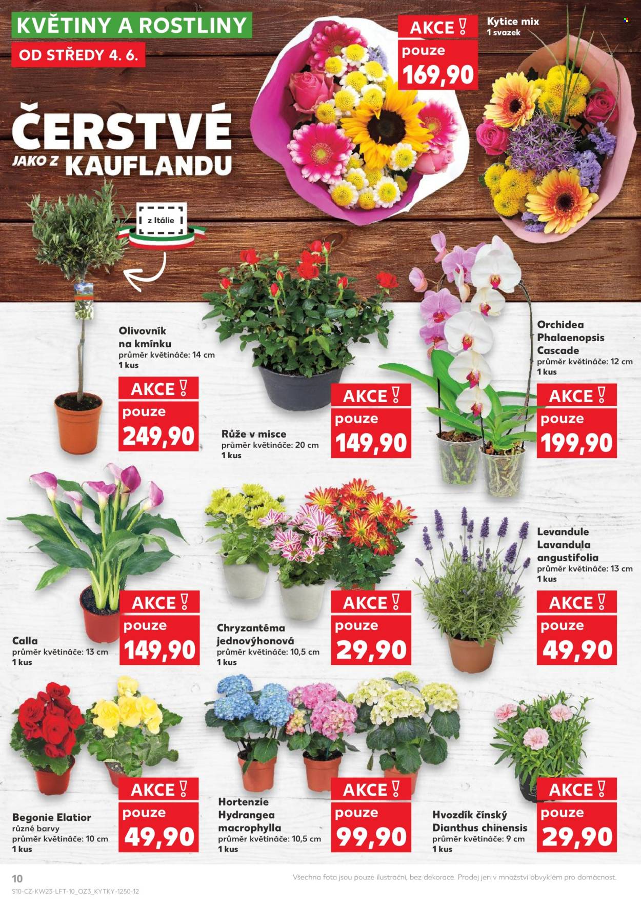 Leták Kaufland - 4.6.2025 - 10.6.2025. Strana 10