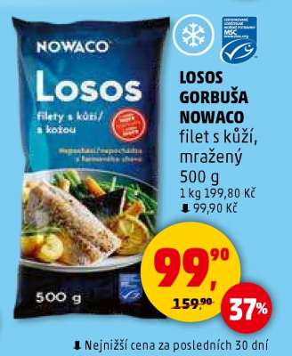 LOSOS GORBUŠA NOWACO