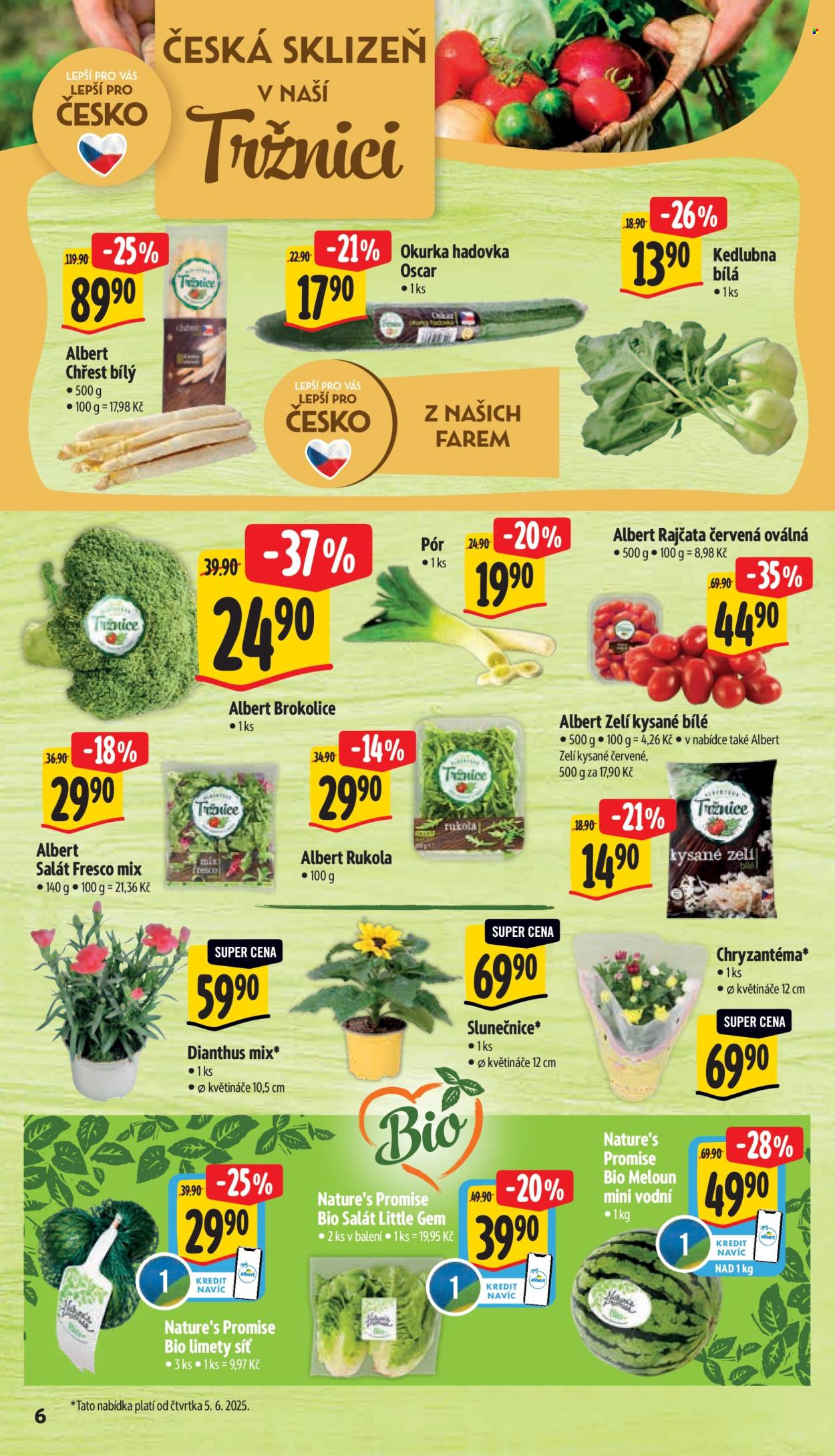 Leták Albert Supermarket - 4.6.2025 - 10.6.2025. Strana 11