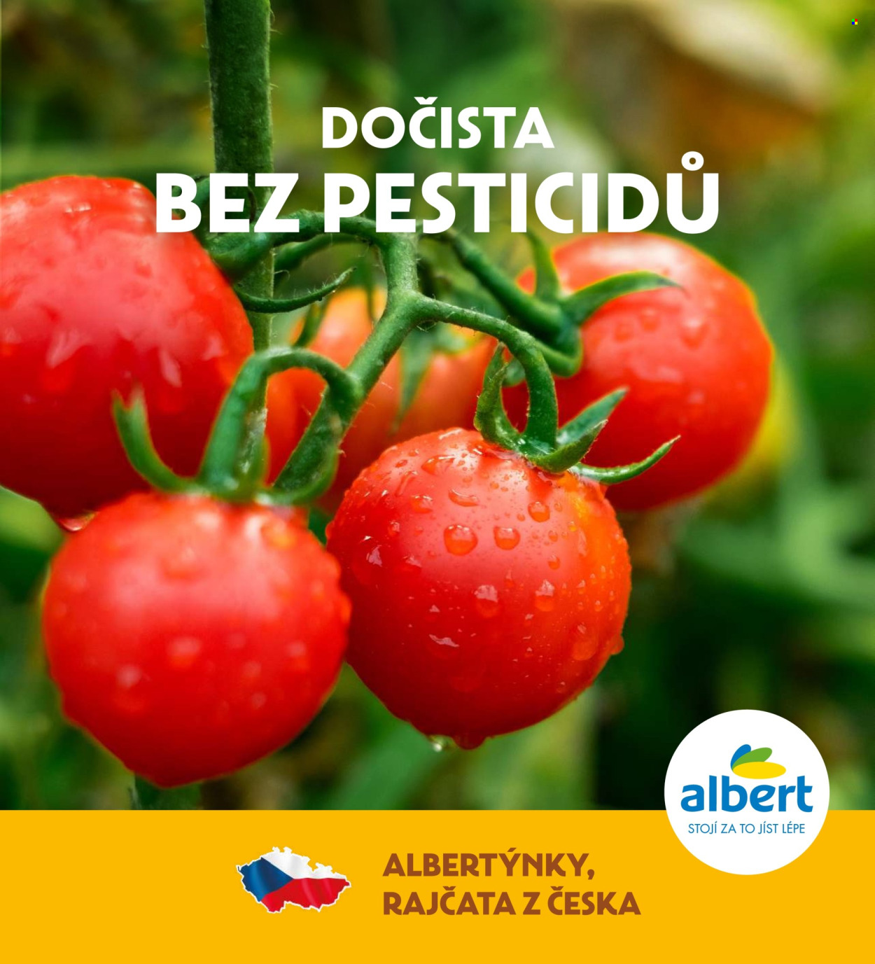 Leták Albert - 4.6.2025 - 1.7.2025. Strana 41