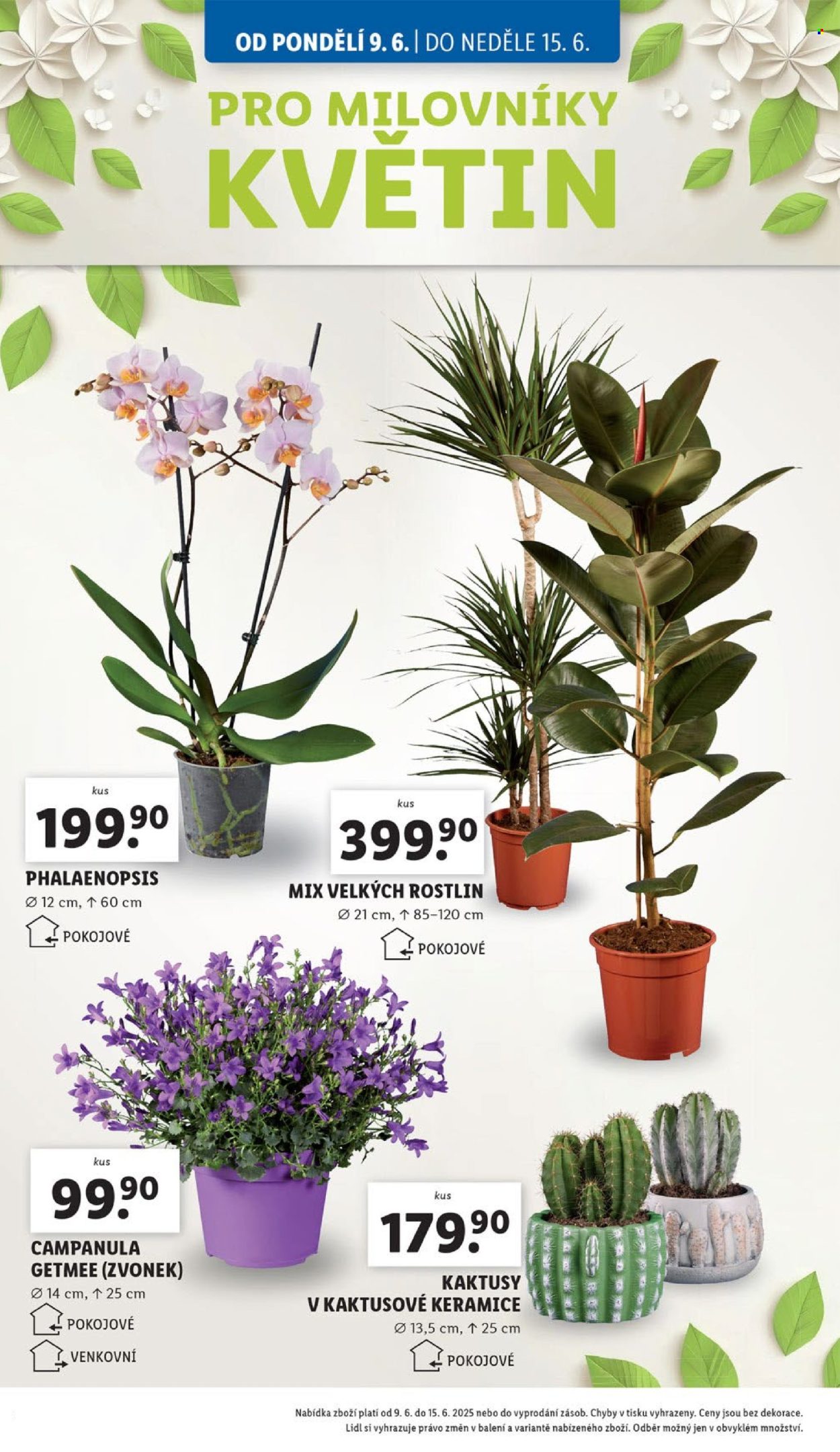 Leták Lidl - 9.6.2025 - 15.6.2025. Strana 28