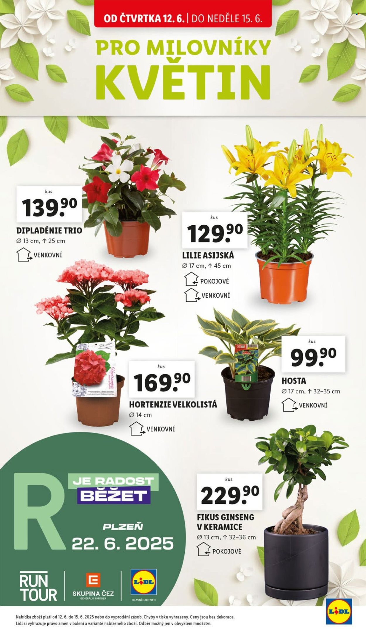 Leták Lidl - 12.6.2025 - 15.6.2025. Strana 43