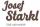 logo - Starkl