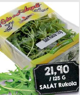 Salát rukola
