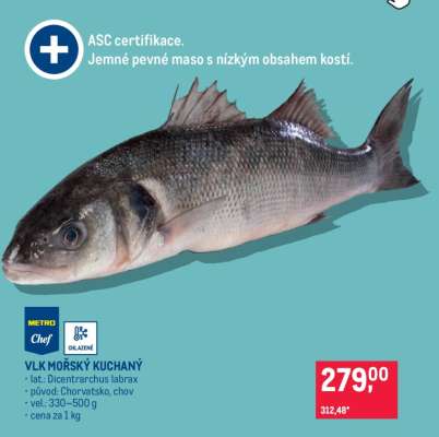 Vlk mořský kuchaný