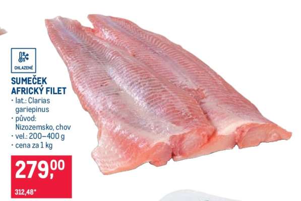 Sumeček africký filet