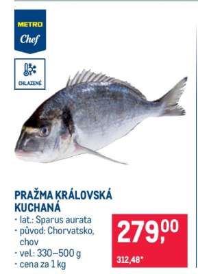 Pražma královská kuchaná