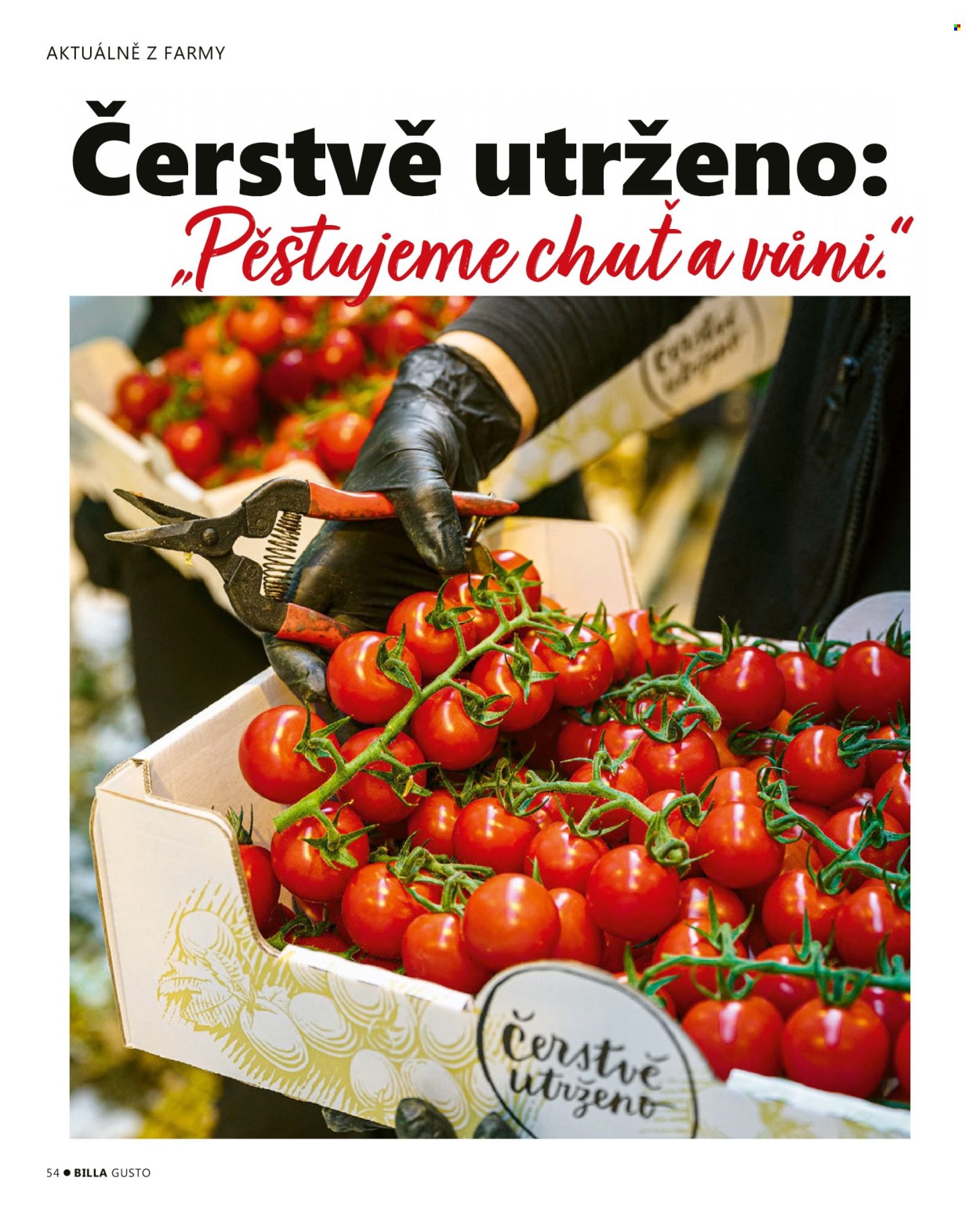 Leták BILLA. Strana 54