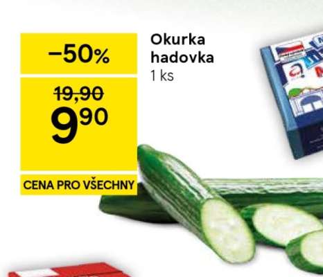 Okurka hadovka