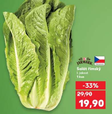 Salát římský