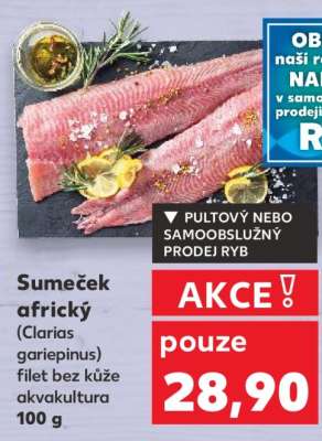 Sumeček africký