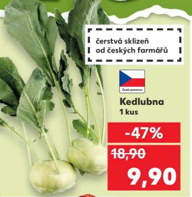 KEDLUBNA