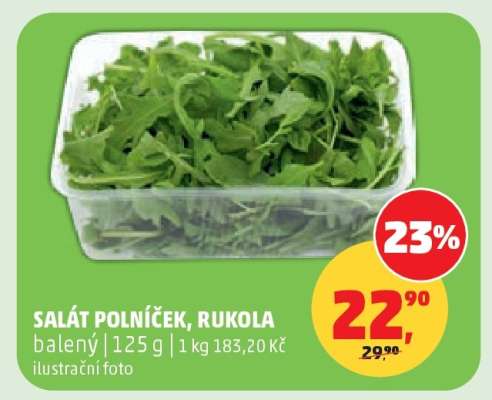 Salát polníček/rukola