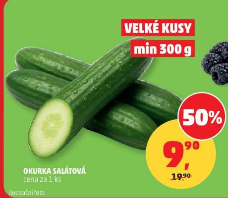 OKURKA SALÁTOVÁ
