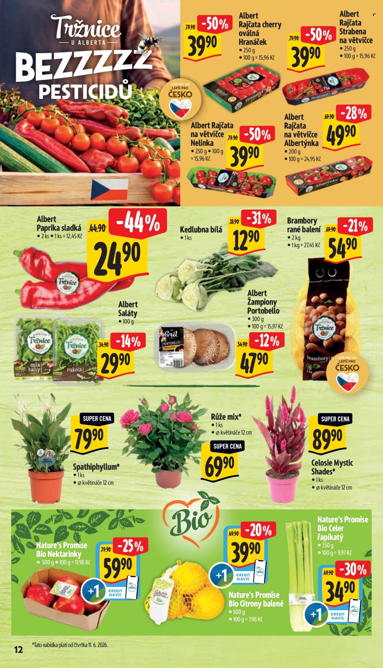 Leták Albert Hypermarket - 10.6.2026 - 16.6.2026. Strana 20