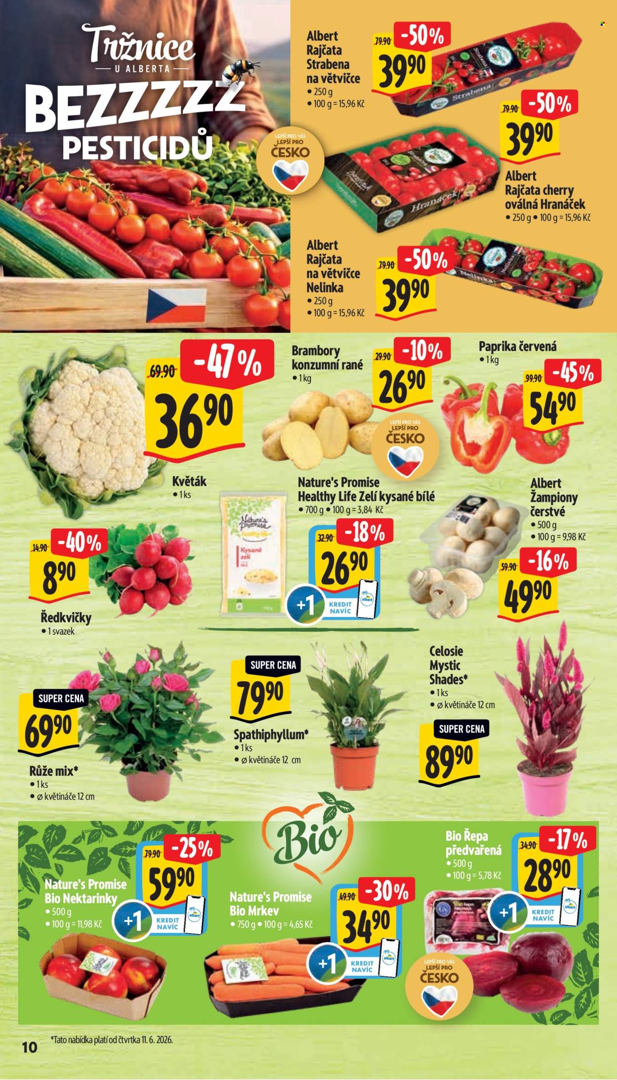 Leták Albert Supermarket - 10.6.2026 - 16.6.2026. Strana 16