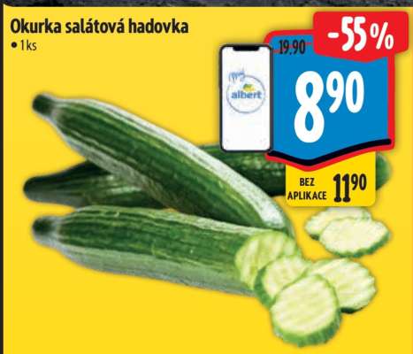Okurka salátová hadovka