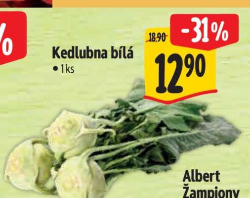 Kedlubna bílá