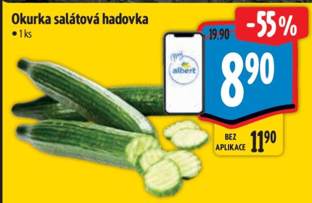 Okurka salátová hadovka