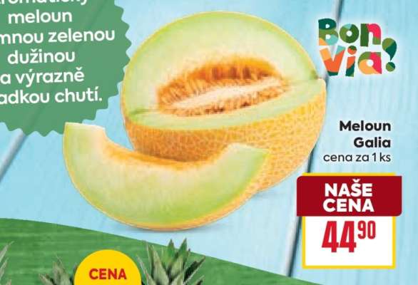 Meloun Galia