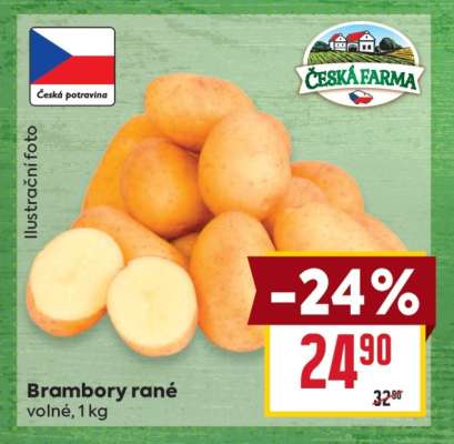 Brambory rané