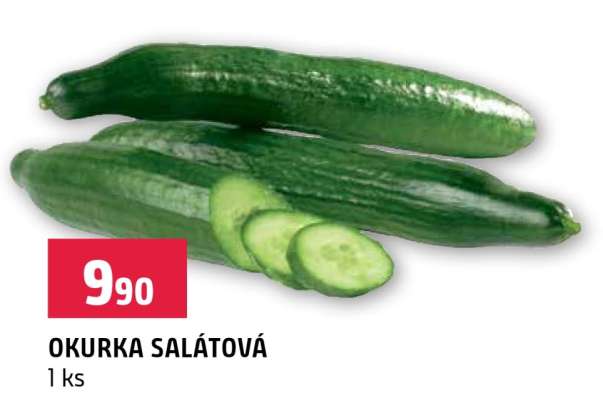 OKURKA SALÁTOVÁ