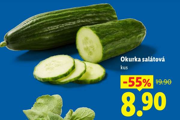 OKURKA SALÁTOVÁ