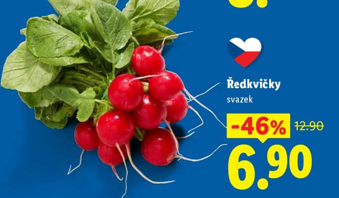 Ředkvičky