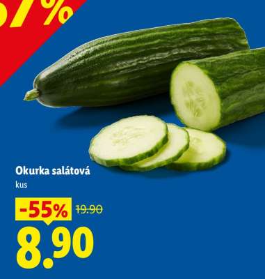 OKURKA SALÁTOVÁ