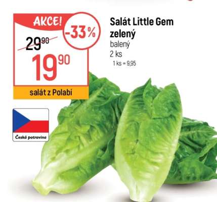 Salát Little Gem zelený