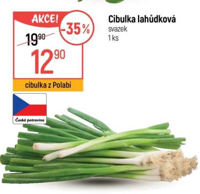 CIBULKA LAHŮDKOVÁ