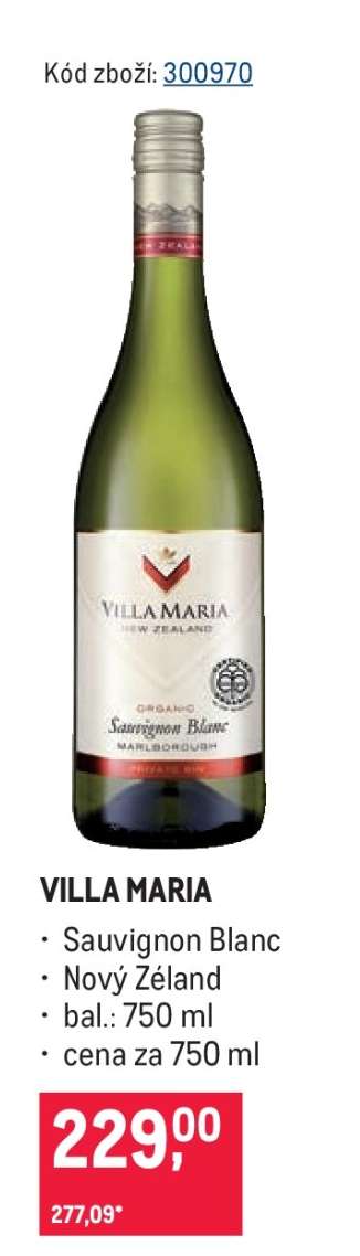 Villa Maria