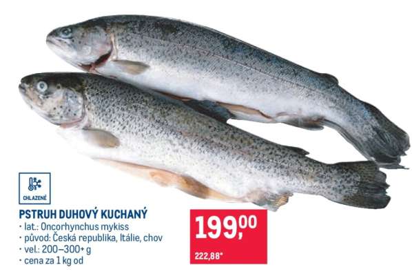 Pstruh duhový kuchaný