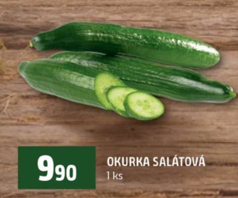 OKURKA SALÁTOVÁ