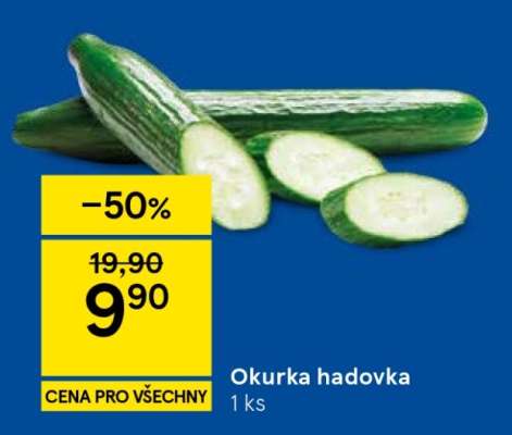 Okurka hadovka