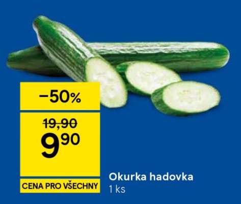 Okurka hadovka