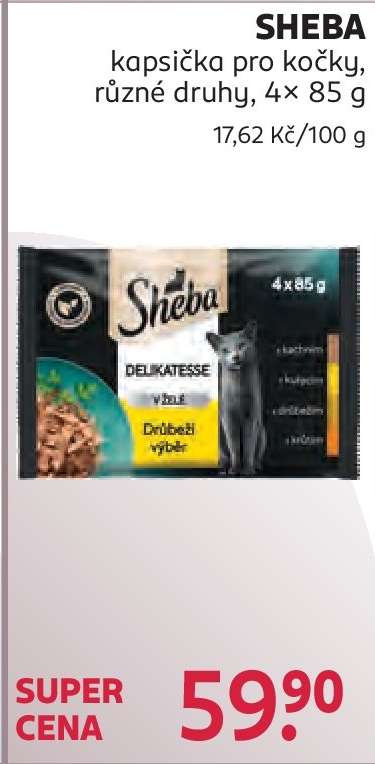 Sheba