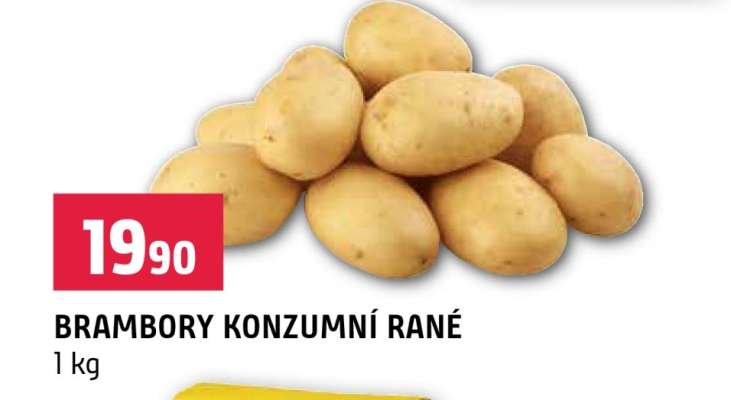 Brambory konzumní rané