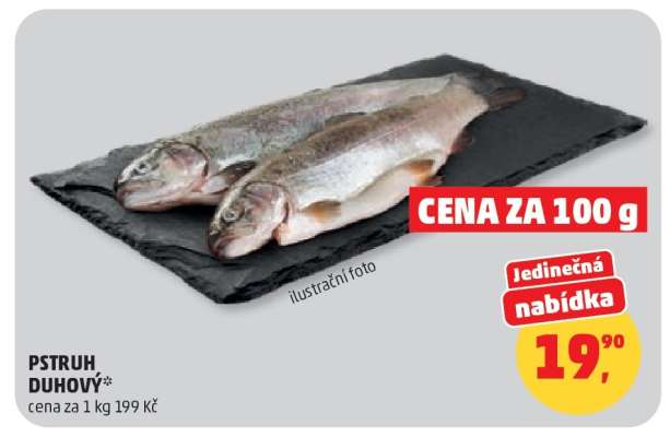 Pstruh duhový