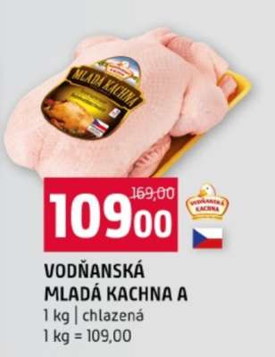 VODŇANSKÁ MLADÁ KACHNA A
