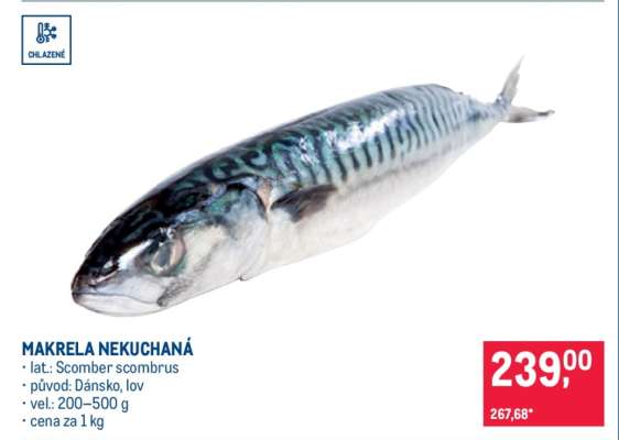 Makrela nekuchaná