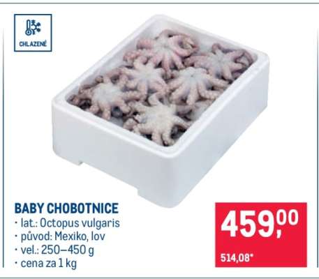 Baby chobotnice