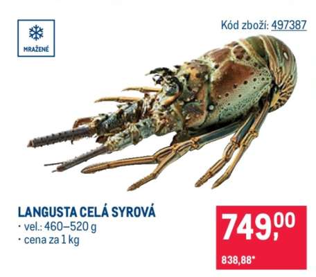 LANGUSTA CELÁ SYROVÁ