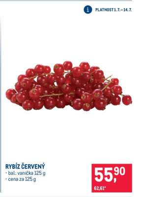 Rybíz červený