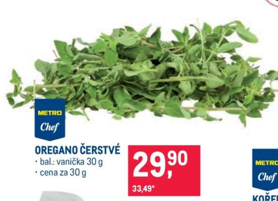 OREGANO ČERSTVÉ