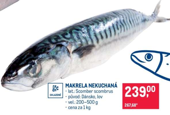 Makrela nekuchaná